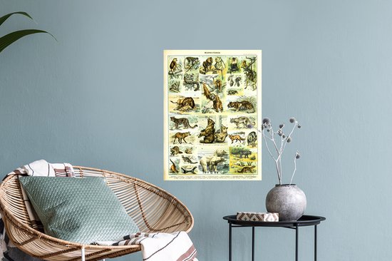 Stickers muraux Animaux - Animaux - Singe - Ours - 30x40 cm - Feuille adhésive