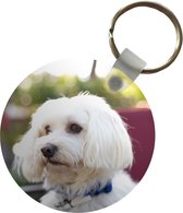 Sleutelhanger - Schattige Maltezer hond - Plastic - Rond - Uitdeelcadeautjes