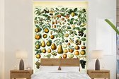 Behang - Fotobehang Adolphe Millot - Vintage - Fruit - Peer - Druiven - Breedte 145 cm x hoogte 220 cm