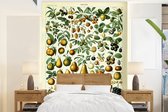 Behang - Fotobehang Adolphe Millot - Vintage - Fruit - Peer - Druiven - Breedte 190 cm x hoogte 260 cm