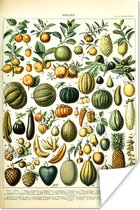 Affiche Fruits - Nourriture - Design - Vintage - Adolphe Millot - 20x30 cm