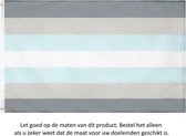Demiboy Pride Vlag 150x90CM - LGBT - Regenboog Vlag - Demi-jongen - Demi Boy - Demiguy - Flag Polyester