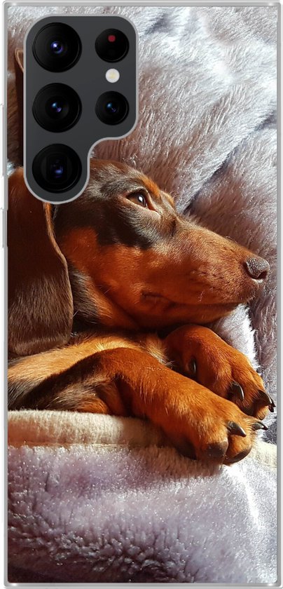Coque de téléphone compatible avec Samsung Galaxy S22 Ultra - Un teckel mignon est sous les couvertures - Coque de téléphone en Siliconen