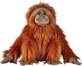 Pluche Orang Oetan aap knuffel 50 cm - Apen/aapje bosdieren knuffeldieren - Speelgoed voor kinderen