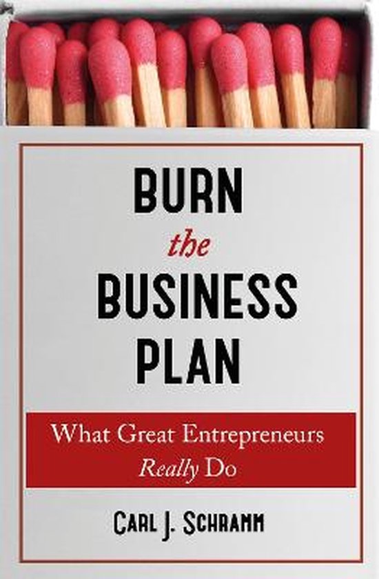 Burn The Business Plan What Great Entrepreneurs Really Do