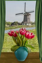 Ansichtkaarten Tulpen met molen nr 714F