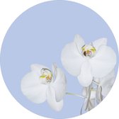 Sanders & Sanders zelfklevende behangcirkel bloemen lichtblauw en wit - 601087 - Ø 70 cm