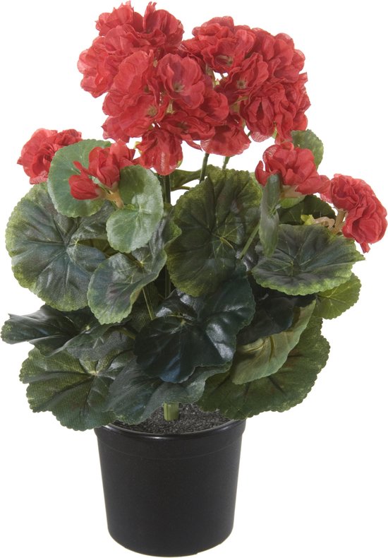 Louis maes Kunstplant - Geranium - rood - in pot - H33 cm - Pelargonium ...
