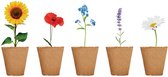 Kweekset bloemen - Moestuin - Kweekbak - Moestuin zaden - Moestuin artikelen - Lavendel - Vergeet-mij-nietje - Zonnebloem - Margriet - Klaproos - Plantensteker - Kokostabletten - Set - 20-delig - Moederdag cadeautje