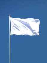 Witte Vlag - Witte Blanke Lege Vlag - 90x150cm - EK Voetbal 2024 - Blank White Flag - Originele Kleuren - Sterke Kwaliteit Incl Bevestigingsringen - Hoogmoed Vlaggen