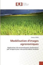 Modélisation d'images agronomiques
