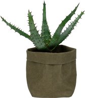 QUVIO Plantenzak - Bloempot voor binnen - Plantenbak - Tuinieren - Bloemen - Plantenpot - Planten houder - Milieuvriendelijk - Kraftpapier - 9 x 9 x 15 cm (lxbxh) - Donkergroen