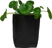 QUVIO Plantenzak - Bloempot voor binnen - Plantenbak - Tuinieren - Bloemen - Plantenpot - Planten houder - Milieuvriendelijk - Kraftpapier - 10 x 10 x 20 cm (lxbxh) - Zwart