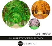 Muurstickers – rond -  bos kleuren - set 3 stuks - zelfklevend - groot - makkelijk plakken - top kwaliteit –trendy – hip – muurcirkel – afm. 75 cm - 50 cm – 30 cm