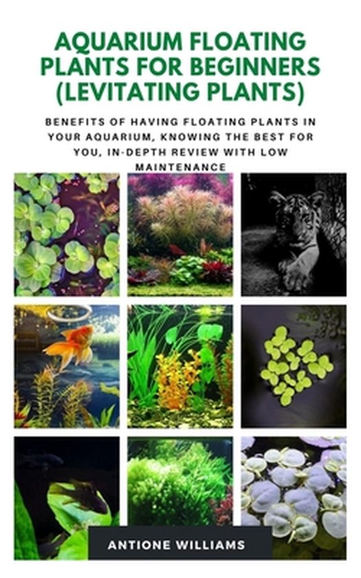 Aquarium Floating Plants for Beginners (Levitating Plants): Benefits of Having Floating Plants in Your Aquarium, Knowing the best for you, in-depth re