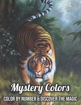 Mystery colors creative color by number & discover magic: Stress