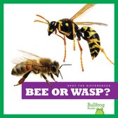 Spot the Differences- Bee or Wasp?