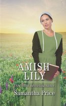 Amish Love Blooms- Amish Lily