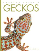 Amazing Animals- Geckos