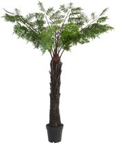 - Palmboom | kunststof | groen | 150x150x (h)190 cm