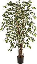 Ficus Liana variegata - kunstplant