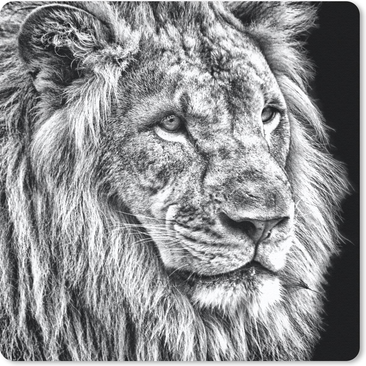 Muismat 30x30 cm - Mousepad Portret - Leeuw - Zwart - Wit - Muismatten