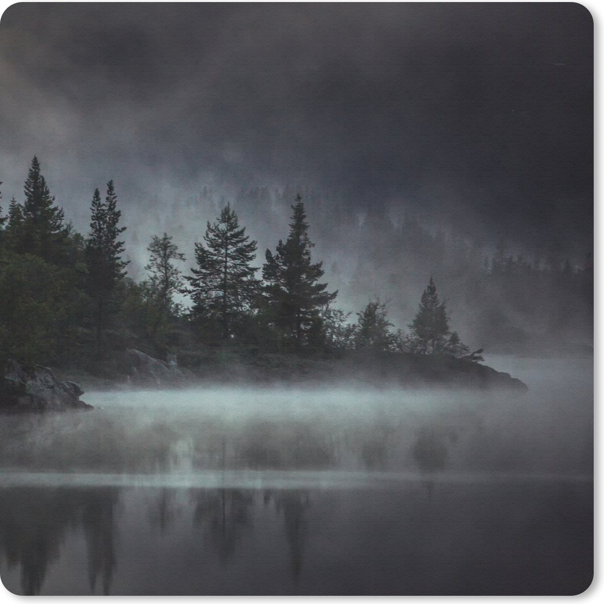 Muismat 30x30 cm - Mousepad Bos - Mist - Zwart - Wit - Muismatten