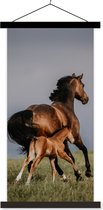 Support pour affiches avec affiche 40x80 cm - Affiche scolaire - Animaux - Paarden - Poulain - Affiche textile - Lattes noires