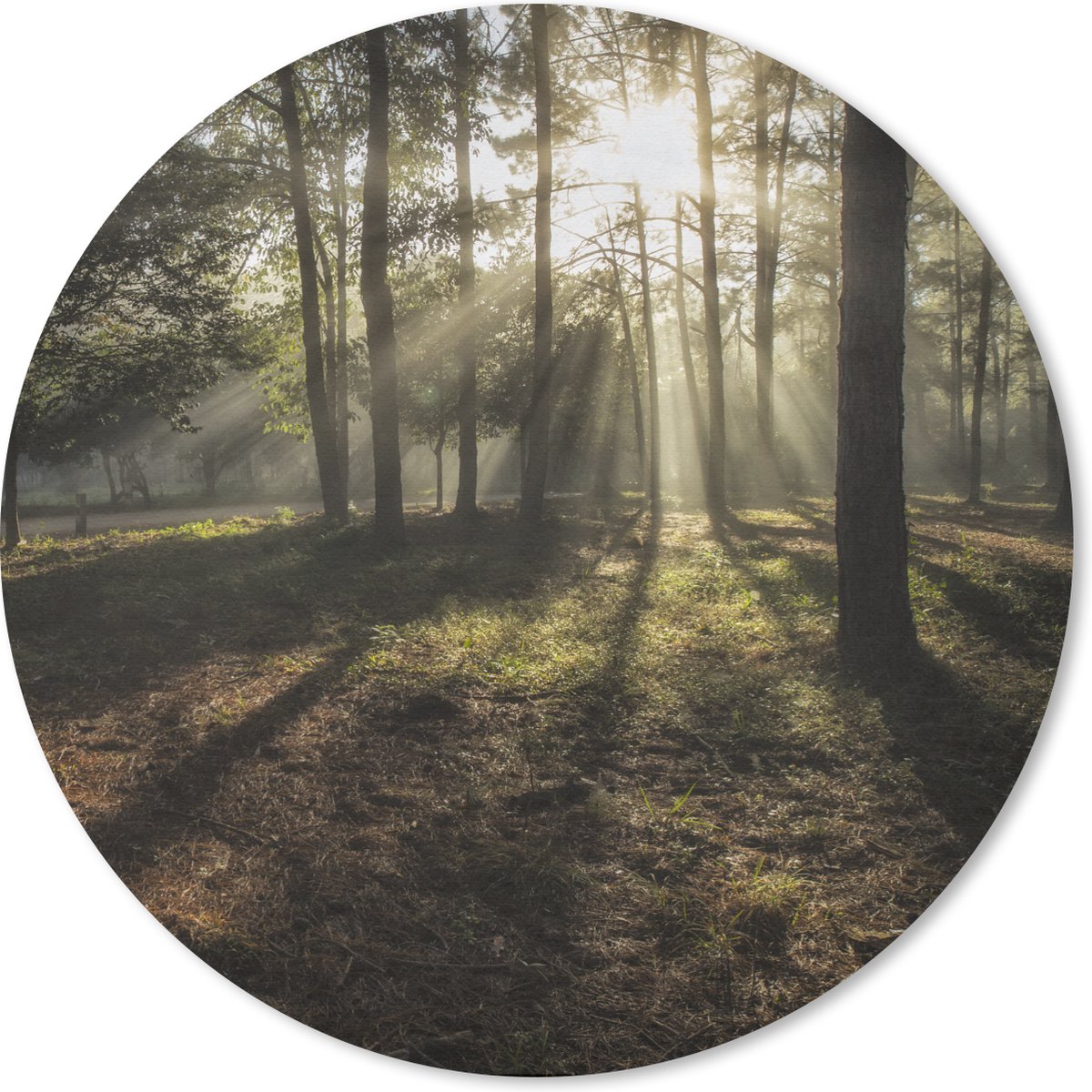 Muismat rond 40x40 cm - Mousepad Bos - Zon - Mist - Ronde muismatten