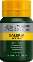 Winsor & Newton Galeria - Acrylverf - 250ml - Hooker's Green