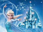 Diamondpainting - Frozen -  Elsa en kasteel 25x30 cm - ronde steentjes