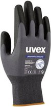 Handschoenenn Uvex phynomic allround, polyamide/elastaan, Aquapolymeer-coating, EN 388 (3 1 3 1), 10 paar