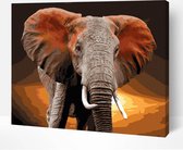 Schilderen Op Nummer Volwassenen DIY Paint By Number Compleet Hobby Pakket op Frame met Vernis - ®Arty Bee - African Elephant 50x40cm