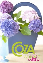 COZA Nextbag - lectuurbak - Tas - Vaas - lichtblauw