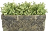 Esschert Design Keramieke bloemen balkonbak met verweerde korstmos look 39 x 17