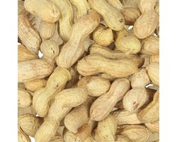 Topdiervoeding Ongepelde Pinda’s Voor Vogels en Eekhoorns - Pelpinda's - 5 KG Doppinda’s - Vers Tuinvogelvoer