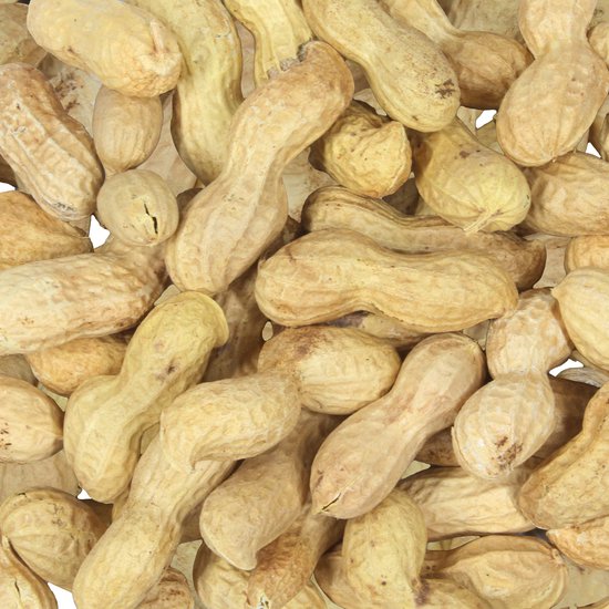 Topdiervoeding Ongepelde Pinda’s Voor Vogels en Eekhoorns - Pelpinda's - 5 KG Doppinda’s - Vers Tuinvogelvoer