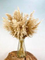 Droogbloemen boeket "Cloudy Pampas" | 50 cm | Zacht en Modern | Een uiterst uniek Moederdag cadeau