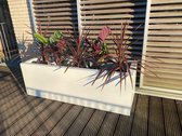 Plantenbak Anja 100x50x50 cm