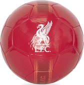 Liverpool FC liver bird voetbal