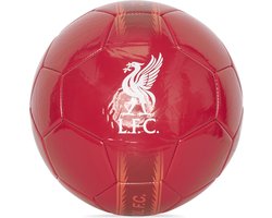 Liverpool FC liver bird voetbal