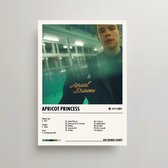 Rex Orange County Poster - Apricot Princess Album Cover Poster - Rex Orange County LP - A3 - Rex Orange County Merch - Muziek