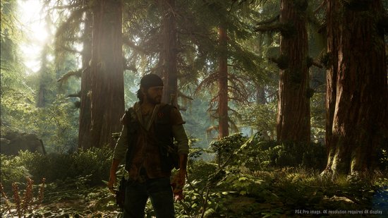 Days Gone - PS4