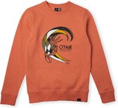 O'Neill Sweatshirts Boys CIRCLE SURFER MULTI CREW Living Coral 164 - Living Coral 85% Cotton, 15% Recycled Polyester