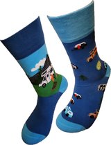 Verjaardag cadeau - Camping sokken - Caravan sokken - Mismatch Sokken - Valentijnsdag cadeau - Leuke sokken - Vrolijke sokken - Luckyday Socks - Sokken met tekst - Aparte Sokken - Socks waar je Happy van wordt - Maat 36-40