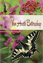 Van harte beterschap! Een kleurrijke wenskaart met mooie bloemen waar vlinders op zitten. Een leuke kaart om te versturen naar iemand die beter moet worden! Een dubbele wenskaart i