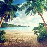 Fotobehang - Palmbomen paradijs, premium print, inclusief behanglijm