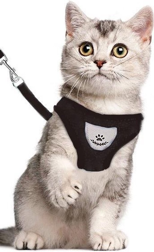 Kattentuigje - Kattenharnas - Kattentuig Met Looplijn - Hondentuigje - Hondenharnas - Zwart - Maat S