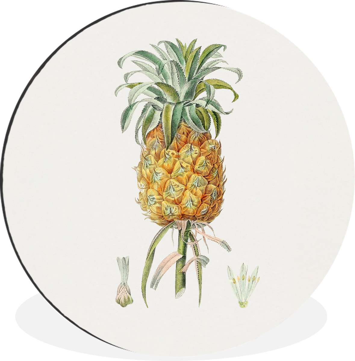 WallCircle - Wandcirkel - Muurcirkel - Ananas - Fruit - Plant - Aluminium - Dibond - 90x90 cm - Binnen en Buiten