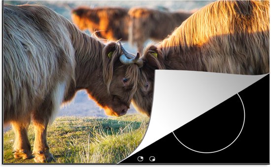 KitchenYeah® Inductie beschermer 78x52 cm - Schotse Hooglanders - Dieren - Zon - Kookplaataccessoires - Afdekplaat voor kookplaat - Inductiebeschermer - Inductiemat - Inductieplaat mat